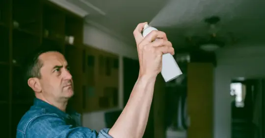 Man spraying bug spray around their house